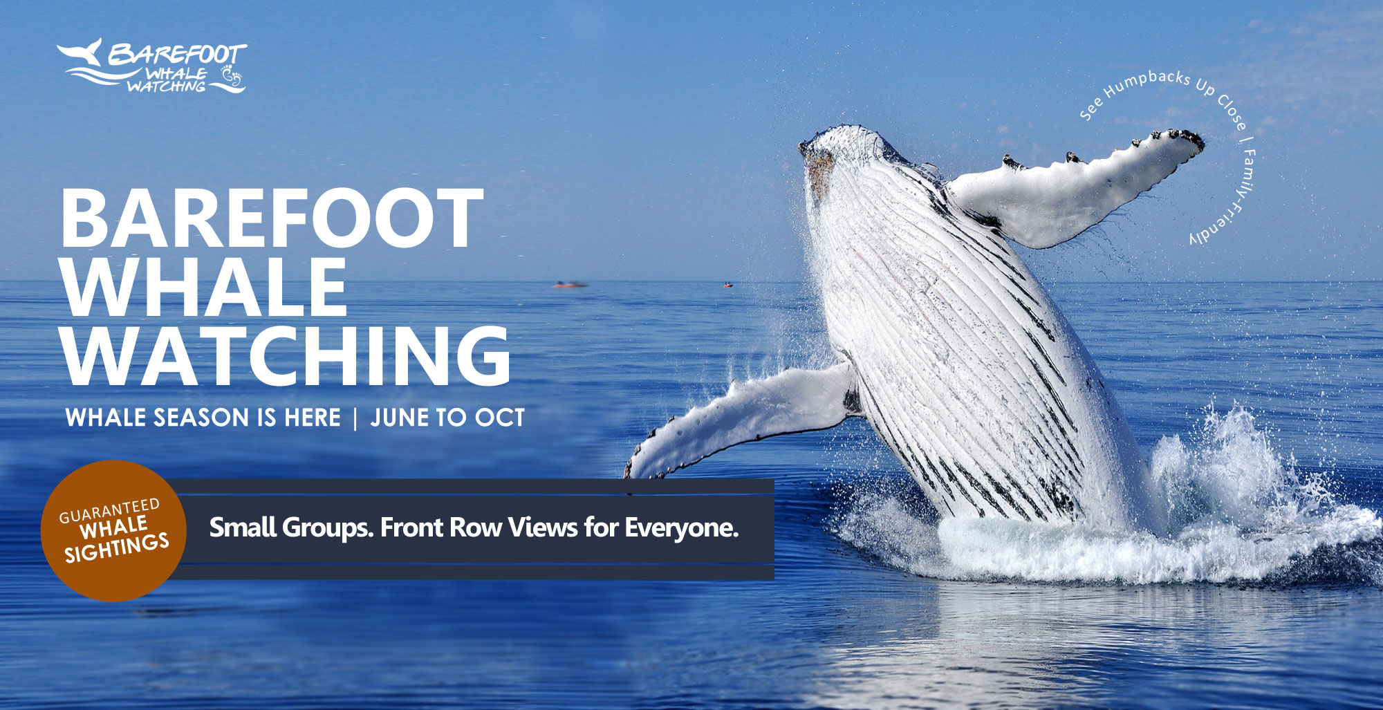 Barefoot Whale Watching Sydney Advertisement