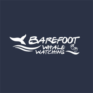 Barefoot Crew Profile Author