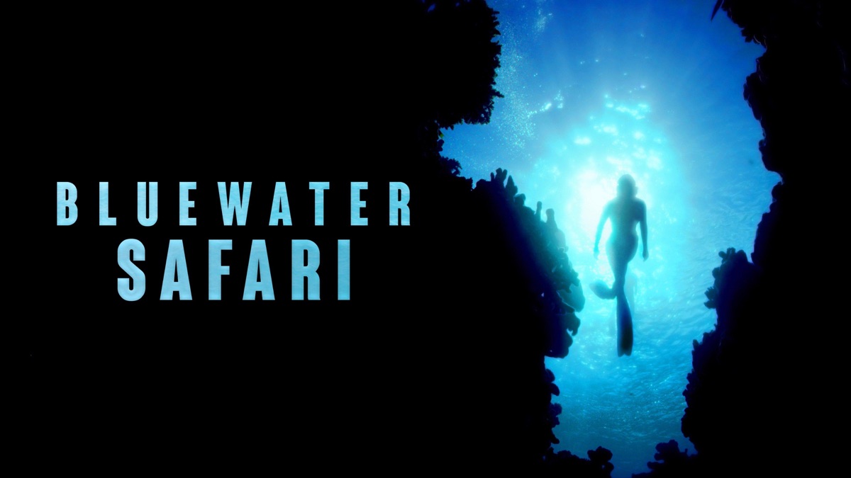Bluewater Safari Documentary By Dean Cropp Cinematographer