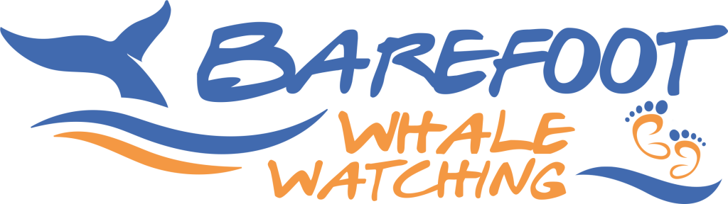 Barefoot Whale Watching Logo