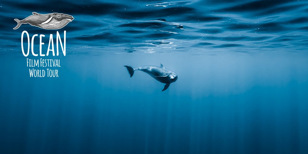 Ocean Film Festival World Tour Dean Cropp