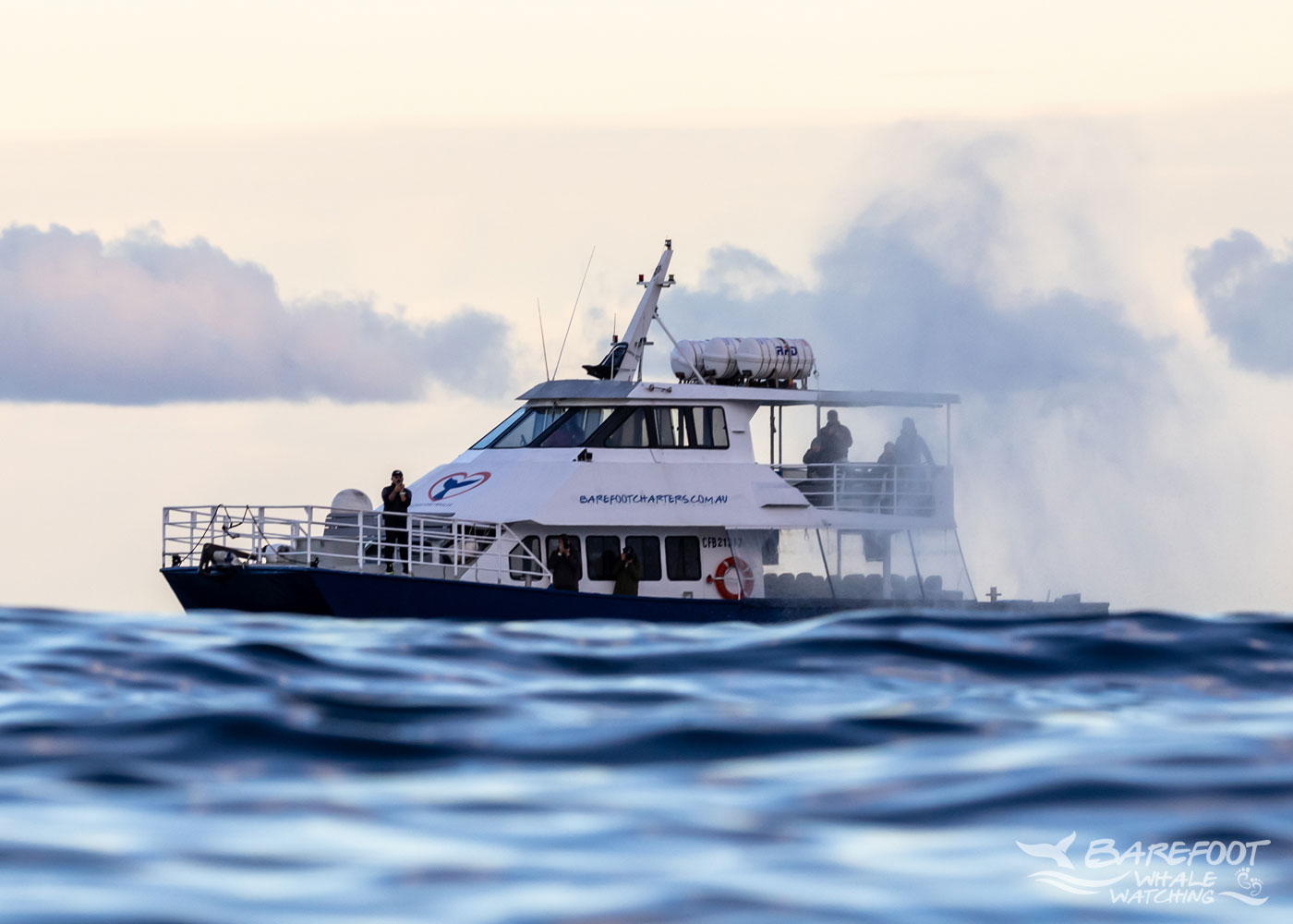Barefoot Blue Boat -Whale Watching Sydney